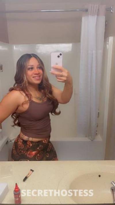 Layla 28Yrs Old Escort Cincinnati OH Image - 6