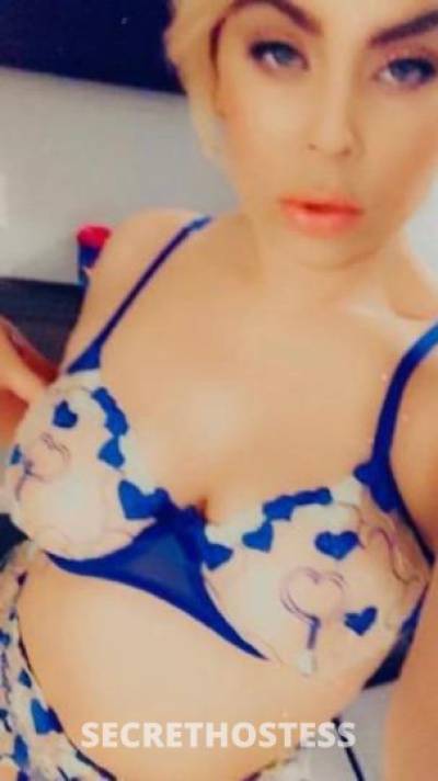 LolaBunnii 27Yrs Old Escort North Bay CA Image - 1