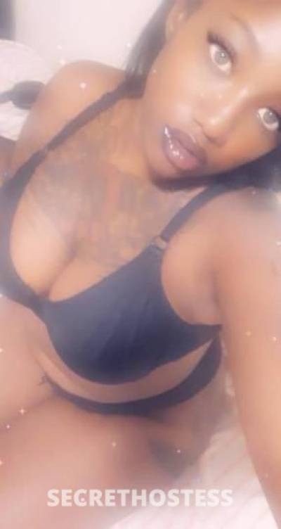 Lyrical🌹rose 30Yrs Old Escort Los Angeles CA Image - 6