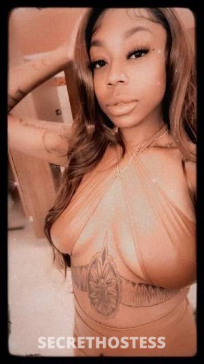 Mia 26Yrs Old Escort San Diego CA Image - 3