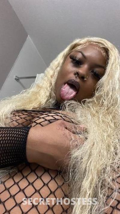 Milan 23Yrs Old Escort New Orleans LA Image - 2