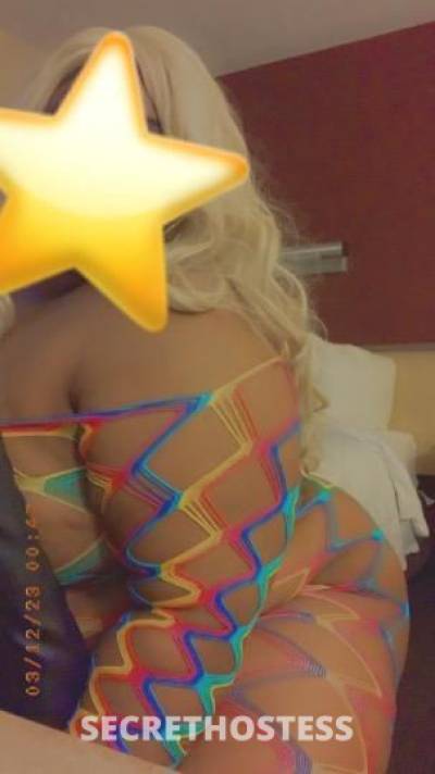 MilkMarie 29Yrs Old Escort Florence Image - 3