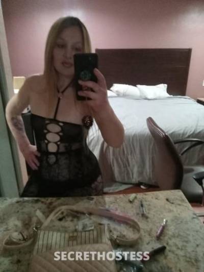 Nikki 29Yrs Old Escort Modesto CA Image - 2