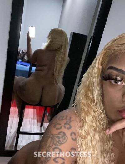 PARIS 27Yrs Old Escort College Station TX Image - 0