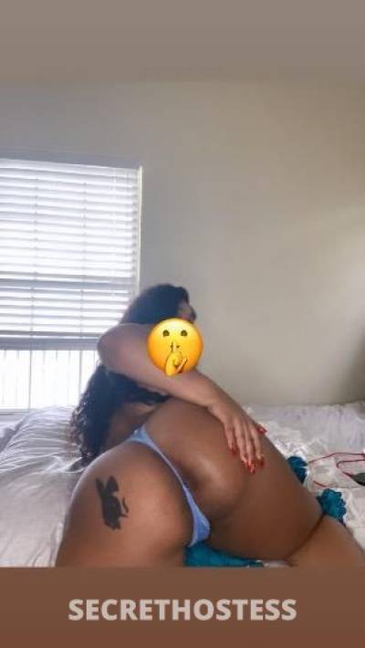 Persuasivee 24Yrs Old Escort Fort Worth TX Image - 6