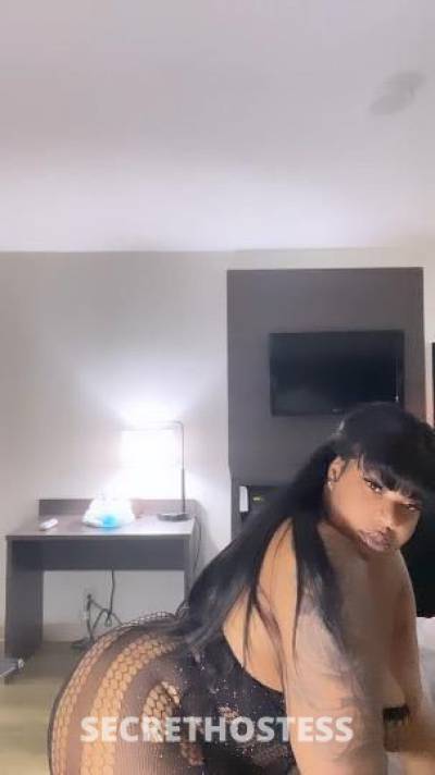 22 year old Escort in Charleston SC Puddin back in town (this week only)???✔24/7