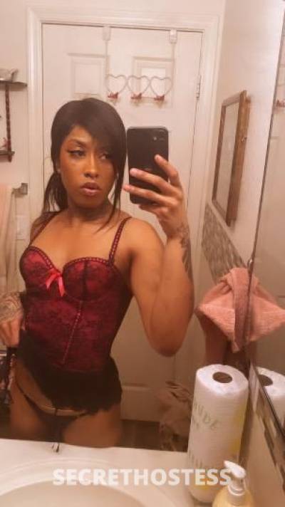 Rain 28Yrs Old Escort Phoenix AZ Image - 2