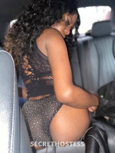 Rose 25Yrs Old Escort Bronx NY Image - 3