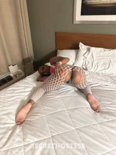 Sapphire 25Yrs Old Escort Phoenix AZ Image - 4