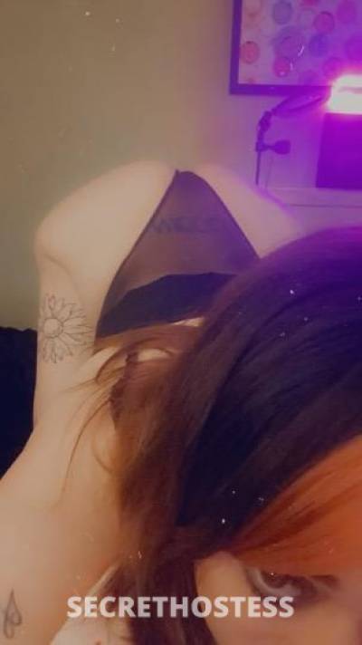 SerenityLavish 24Yrs Old Escort Virginia Beach VA Image - 3