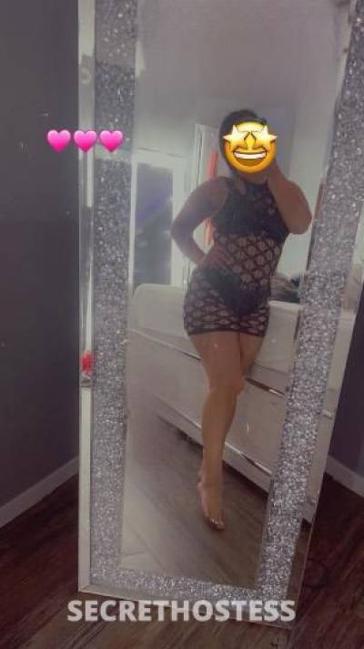 Sofia 23Yrs Old Escort Dallas TX Image - 3