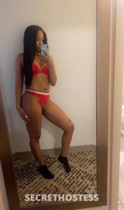 Stacey 25Yrs Old Escort Miami FL Image - 5