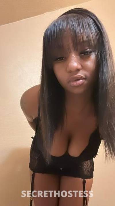 Star 24Yrs Old Escort San Gabriel Valley CA Image - 0