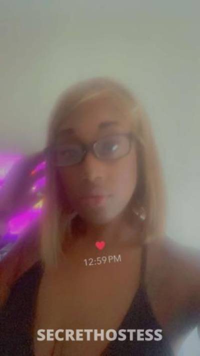 Stormi 32Yrs Old Escort Jacksonville FL Image - 0