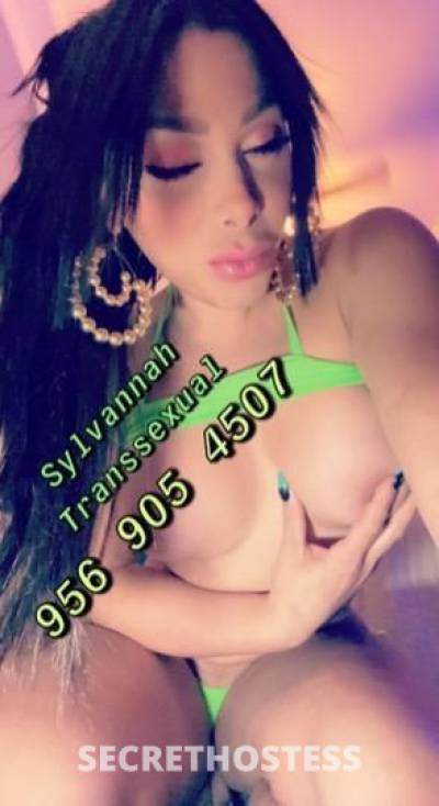 Sylvannah 25Yrs Old Escort McAllen TX Image - 10