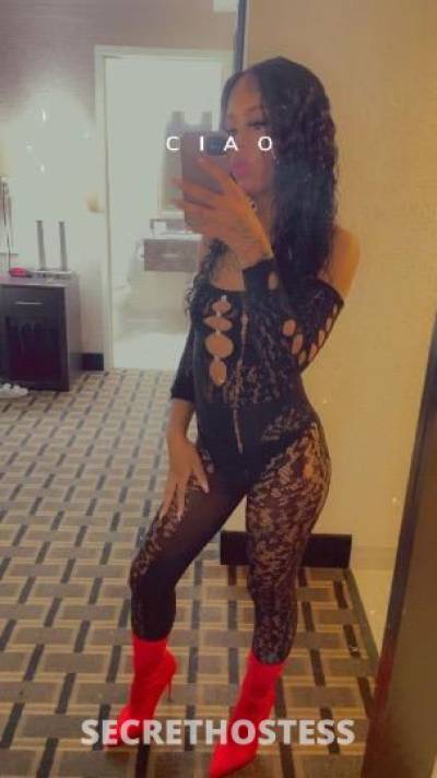 Taylor 24Yrs Old Escort Miami FL Image - 0