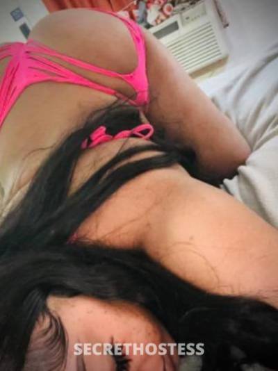 Trina 21Yrs Old Escort San Jose CA Image - 0