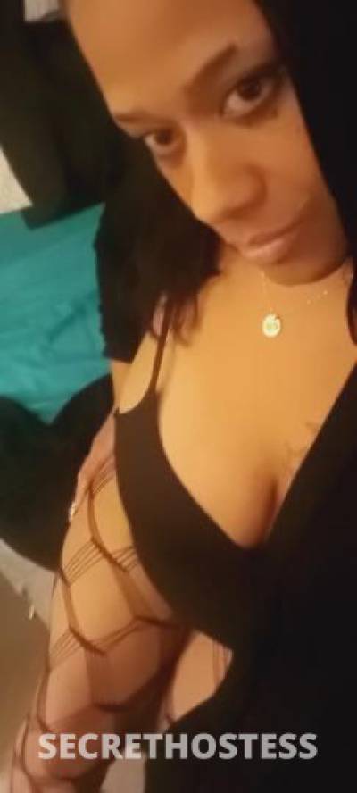 Trina 31Yrs Old Escort Louisville KY Image - 1