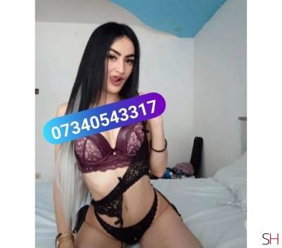 23Yrs Old Escort Liverpool Image - 6