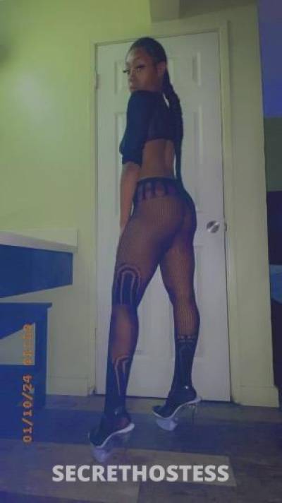 24Yrs Old Escort Sarasota FL Image - 1