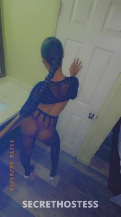 24Yrs Old Escort Sarasota FL Image - 2