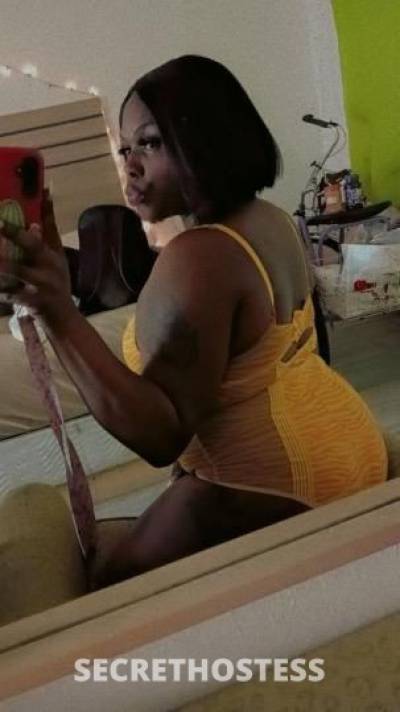 Arii 24Yrs Old Escort Tampa FL Image - 0