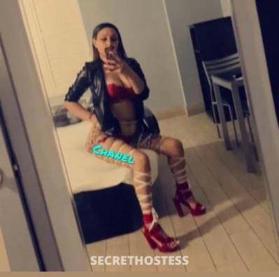 Chanel 22Yrs Old Escort Little Rock AR Image - 4