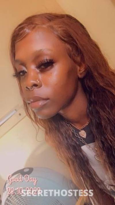 29 year old Escort in Miami FL Incalls only .wet .. tight.. se