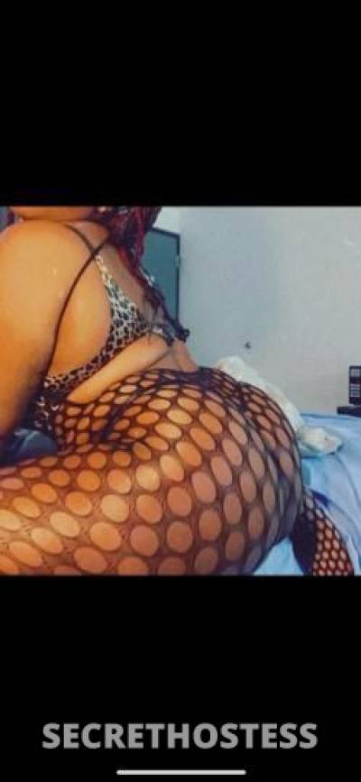 Dasireisbk 25Yrs Old Escort Wilmington DE Image - 2