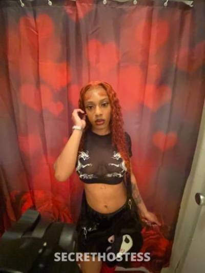 Diamond 20Yrs Old Escort Jacksonville FL Image - 10