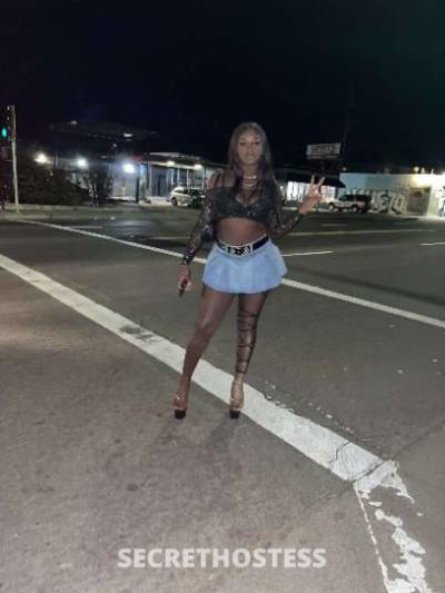 Dream 28Yrs Old Escort Los Angeles CA Image - 6