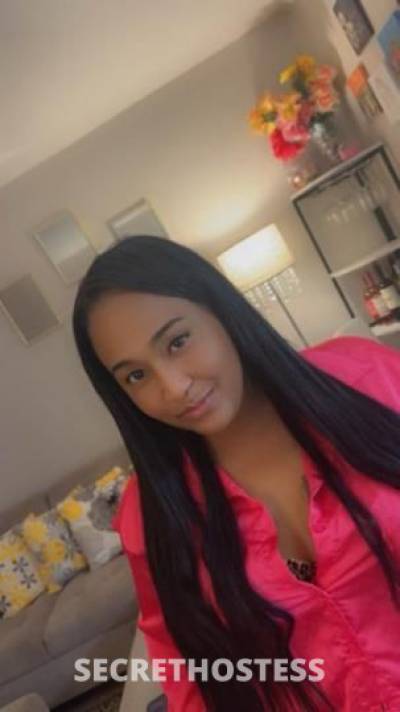 25 year old French Escort in Albuquerque NM Francesca
