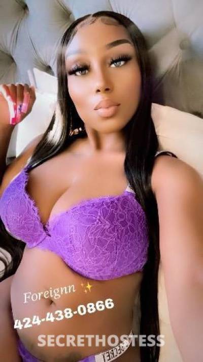 Foreignn 23Yrs Old Escort Worcester MA Image - 1