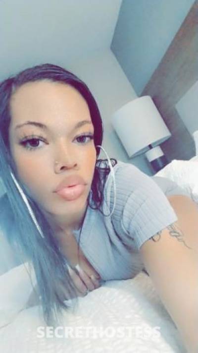 Gucci 25Yrs Old Escort Denver CO Image - 1