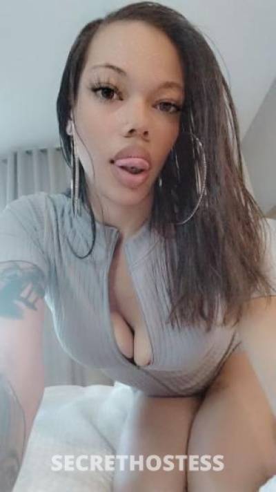 Gucci 25Yrs Old Escort Denver CO Image - 6