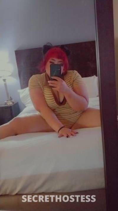 KELZ 24Yrs Old Escort Little Rock AR Image - 9