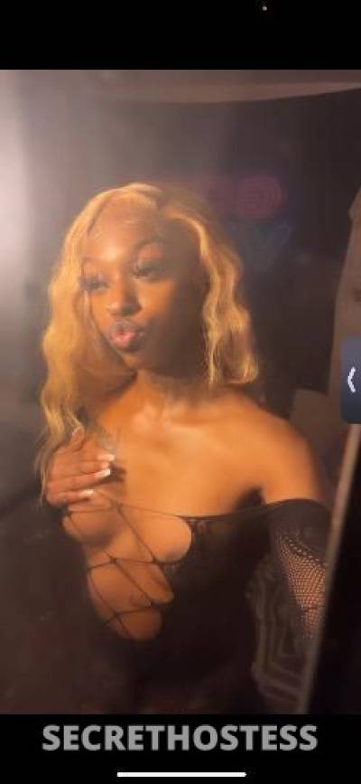 Lilbaby 21Yrs Old Escort San Francisco CA Image - 3