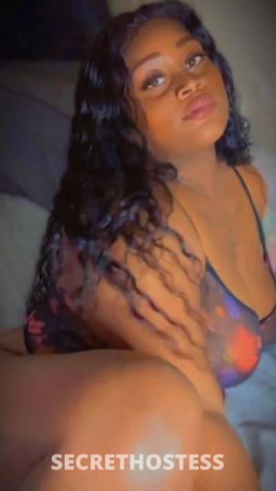 MISTRESSLUNA 28Yrs Old Escort Bradenton FL Image - 1