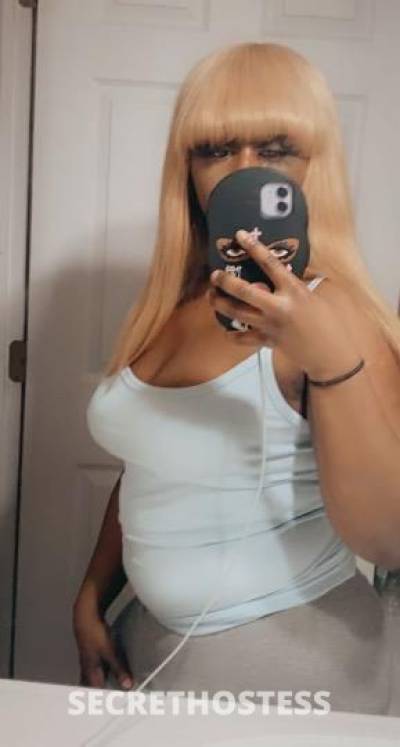 Miss5StarKitty 30Yrs Old Escort Westchester NY Image - 0