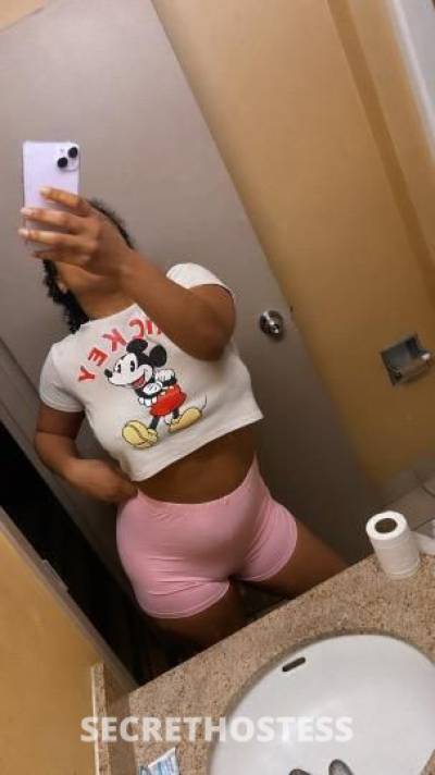 Phoenix 22Yrs Old Escort Brockton MA Image - 2