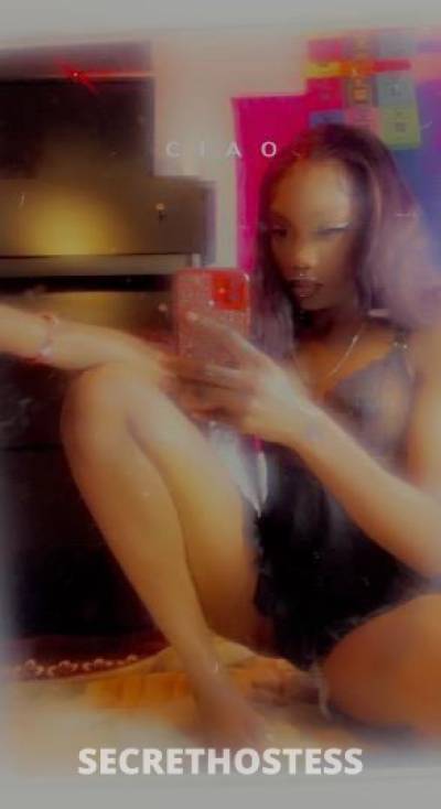 Pleasure 20Yrs Old Escort Denver CO Image - 7