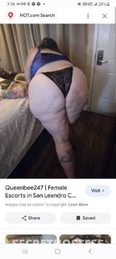 Queenbee 39Yrs Old Escort Oakland CA Image - 2