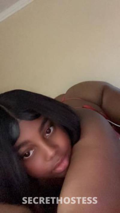 Rose 22Yrs Old Escort Long Beach CA Image - 1