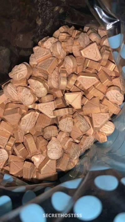 Rose 26Yrs Old Escort 167CM Tall Regina Image - 1