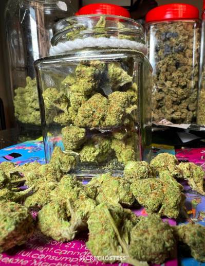 Rose 26Yrs Old Escort 167CM Tall Regina Image - 8