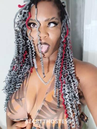 Seductionist 28Yrs Old Escort New Haven CT Image - 4