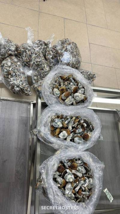 Sophie 26Yrs Old Escort 167CM Tall Red Deer Image - 3