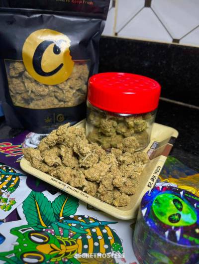 Sophie 26Yrs Old Escort 167CM Tall Red Deer Image - 4