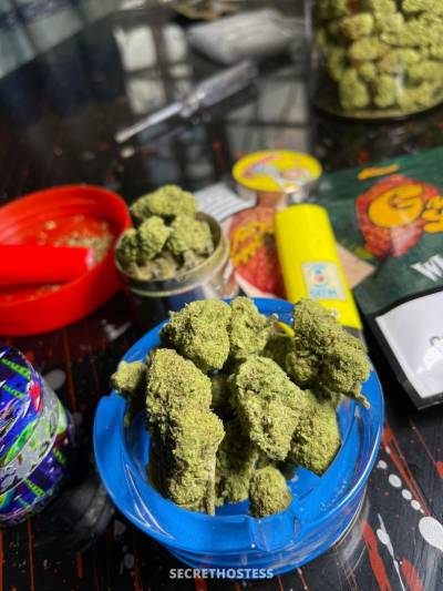 Sophie 26Yrs Old Escort 167CM Tall Red Deer Image - 5