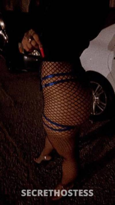 Stormy 24Yrs Old Escort Los Angeles CA Image - 4